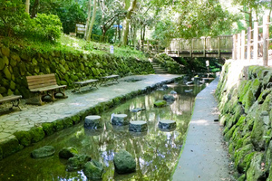 柿田川湧水