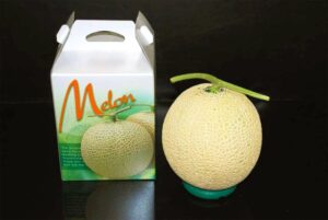 蒲郡オレンジパーク