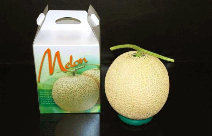 蒲郡オレンジパーク