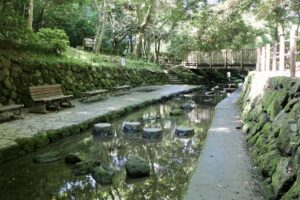柿田川湧水