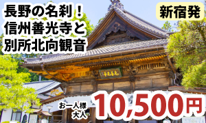 新宿発　長野の名刹！極楽浄土へのご利益ある信州善光寺と現生利益を願う別所北向観音へ参拝