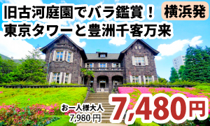 横浜発　気品あふれる「旧古河庭園」バラ鑑賞！「東京タワー」と「豊洲千客万来」［A320-Y］