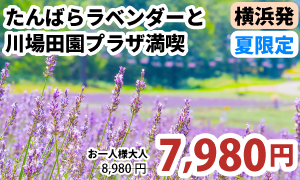 夏限定！紫の絶景とグルメ天国へ！　たんばらラベンダーと川場田園プラザ満喫ツアー