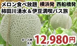 甘くとろけるメロン食べ放題♪ 柿田川湧水＆伊豆満喫バス旅　A322-Y&A322-N
