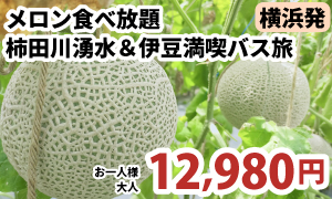 甘くとろけるメロン食べ放題♪ 柿田川湧水＆伊豆満喫バス旅　A322-Y