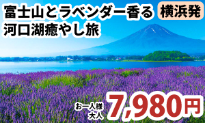 横浜発　富士山とラベンダー香る河口湖癒やし旅
A323-Y