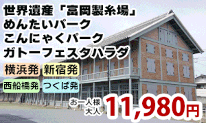 世界遺産「富岡製糸場」と群馬の大人気3工場 A191