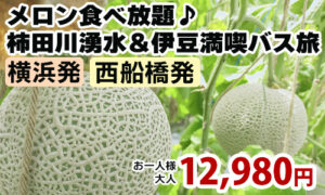 甘くとろけるメロン食べ放題♪ 柿田川湧水＆伊豆満喫バス旅