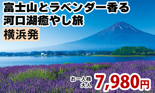 横浜発　富士山とラベンダー香る河口湖癒やし旅