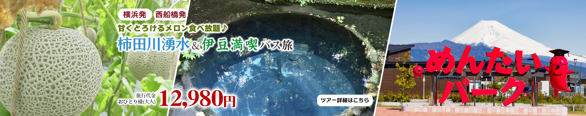 甘くとろけるメロン食べ放題♪ 柿田川湧水＆伊豆満喫バス旅