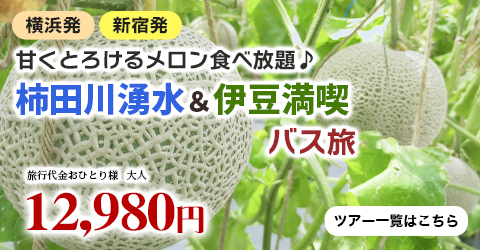 甘くとろけるメロン食べ放題♪ 柿田川湧水＆伊豆満喫バス旅