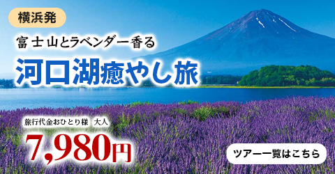 横浜発　富士山とラベンダー香る河口湖癒やし旅