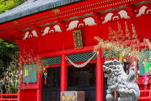 赤城神社