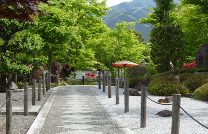 宝徳寺床もみじ