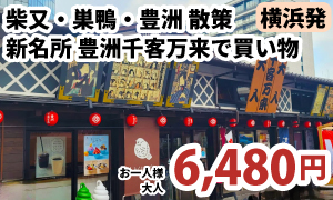 【柴又・巣鴨・豊洲】を回り、下町情緒あふれる街並みの散策と、新名所「豊洲千客万来」で買物ツアー