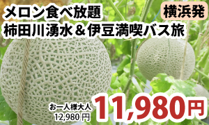 甘くとろけるメロン食べ放題♪ 柿田川湧水＆伊豆満喫バス旅　A322-Y