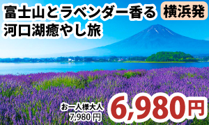 横浜発　富士山とラベンダー香る河口湖癒やし旅 A323-Y