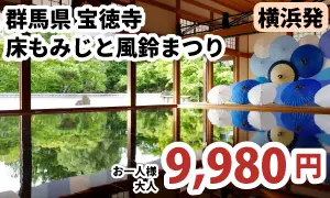 宝徳寺『夏の床もみじ』＆風鈴まつり