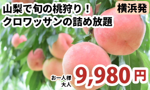 A326-Y山梨桃狩り