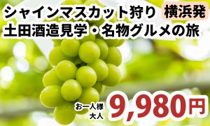 横浜発　群馬名物グルメ旅 【群馬の味覚満喫】原田農園フルーツ狩りと土田酒造見学・名物グルメの旅［A332-Y］