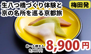 梅田発　生八つ橋づくり体験と京の名所を巡る京都旅