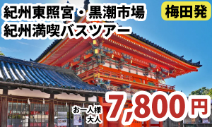 梅田発　紀州東照宮 紀州・和歌山の名社「東照宮」参拝と、人気の道の駅「海南サクアス」で新鮮な海鮮ショッピングを楽しむ紀州満喫バスツアー［C109-U］