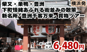 【柴又・巣鴨・豊洲】を回り、下町情緒あふれる街並みの散策と、新名所「豊洲千客万来」で買物ツアー