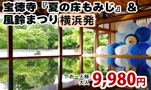宝徳寺『夏の床もみじ』＆風鈴まつり