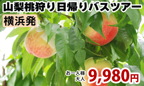 桃狩り日帰りバスツアー