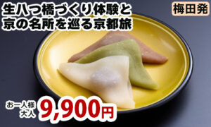 梅田発　生八つ橋づくり体験と京の名所を巡る京都旅