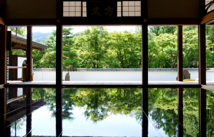 宝徳寺床もみじ