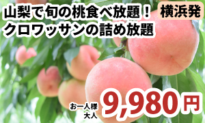 A326-Y山梨桃狩り