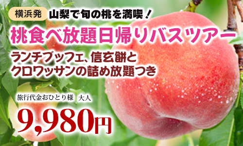 横浜発　山梨もも狩り  山梨で旬の桃を満喫！桃食べ放題日帰りバスツアー♪　～ランチブッフェ、信玄餅とクロワッサンの詰め放題つき～