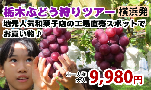 横浜発　栃木ぶどう狩りツアー ～地元人気和菓子店の工場直売スポットでお買い物&いちごの里でのランチブッフェ♪～