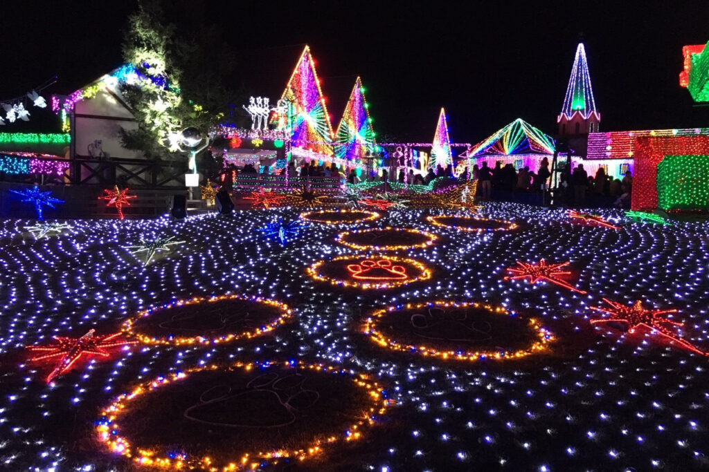 東京ドイツ村
