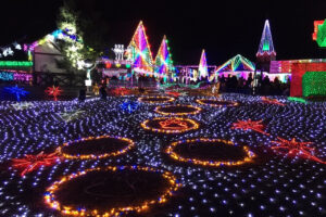 東京ドイツ村