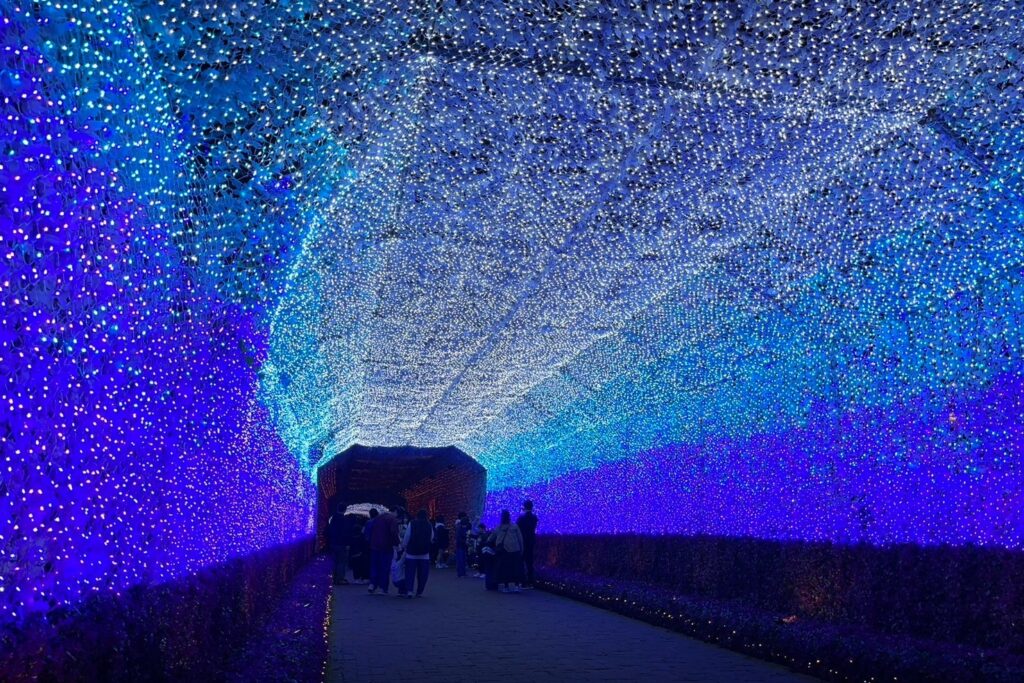 時之栖