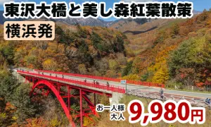 八ヶ岳を望む「東沢大橋」と「美し森」紅葉散策 ～大人気の桔梗屋信玄餅詰め放題♪～