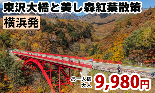 八ヶ岳を望む「東沢大橋」と「美し森」紅葉散策 ～大人気の桔梗屋信玄餅詰め放題♪～