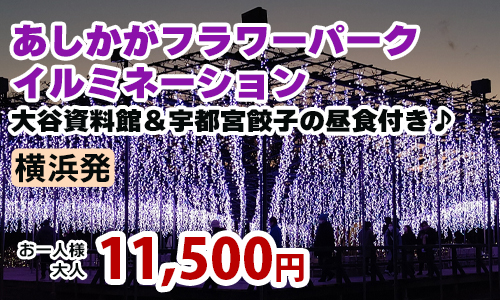 あしかがフラワーパークイルミネーション＆大谷資料館＆宇都宮餃子の昼食付き♪