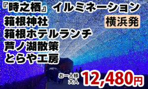 時之栖イルミネーション