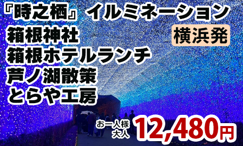 時之栖イルミネーション
