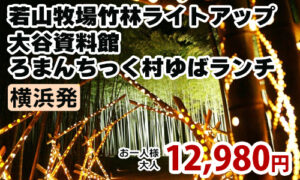 若山牧場竹林ライトアップ
