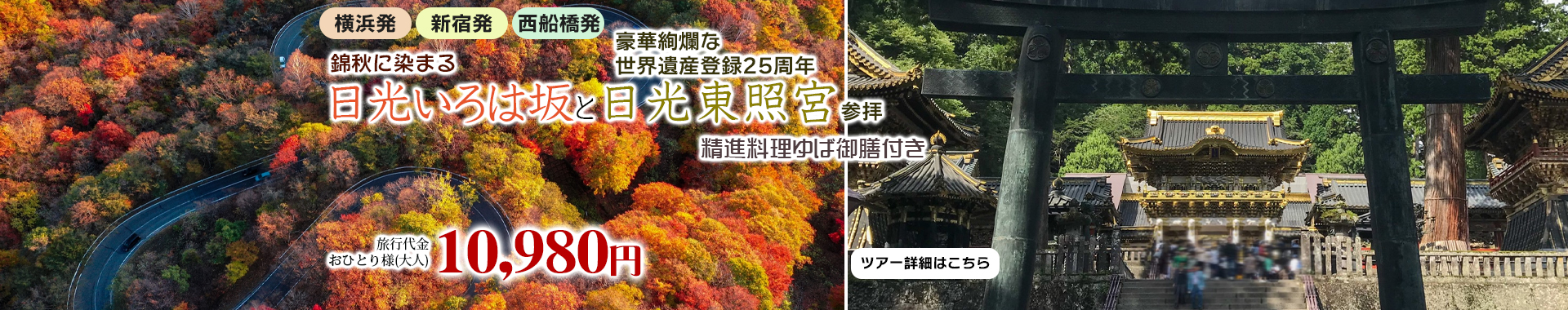 錦秋に染まる日光いろは坂と豪華絢爛な世界遺産登録25周年「日光東照宮」参拝　精進料理ゆば御膳付き