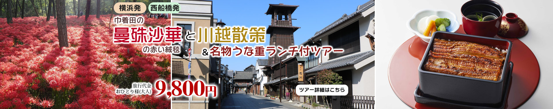 巾着田の『曼殊沙華』の赤い絨毯と川越散策＆名物うな重ランチ付ツアー