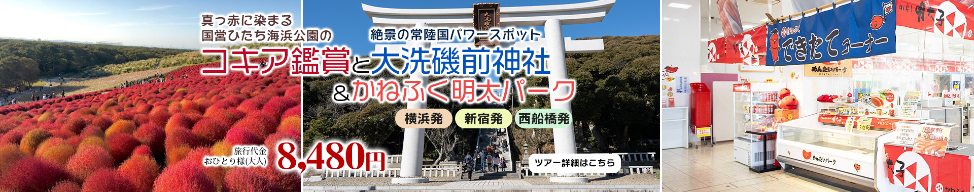 真っ赤に染まる国営ひたち海浜公園のもこもこコキア鑑賞と絶景の常陸国パワースポット「大洗磯前神社」＆かねふく明太パーク