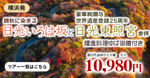 錦秋に染まる日光いろは坂と豪華絢爛な世界遺産登録25周年「日光東照宮」参拝　精進料理ゆば御膳付き