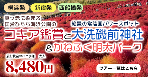 真っ赤に染まる国営ひたち海浜公園のもこもこコキア鑑賞と絶景の常陸国パワースポット「大洗磯前神社」＆かねふく明太パーク