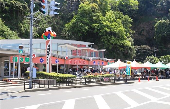 越前がにミュージアム・道の駅 越前