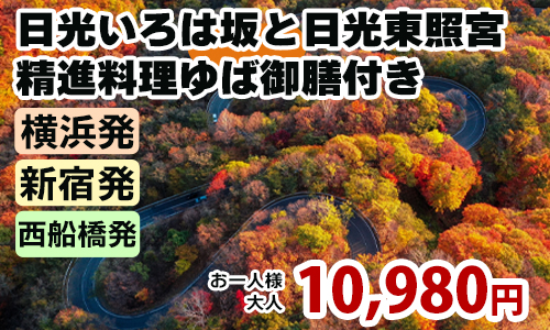 錦秋に染まる日光いろは坂と豪華絢爛な「日光東照宮」参拝　精進料理ゆば御膳付き